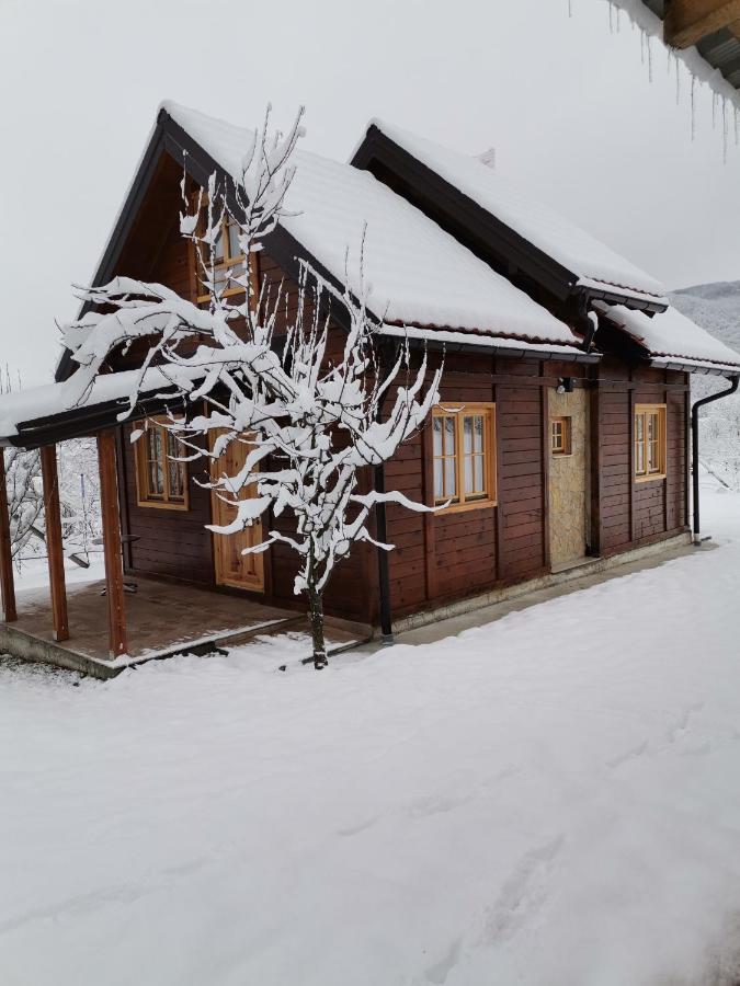 Appartement Brvnare Stojic à Kokin Brod Extérieur photo