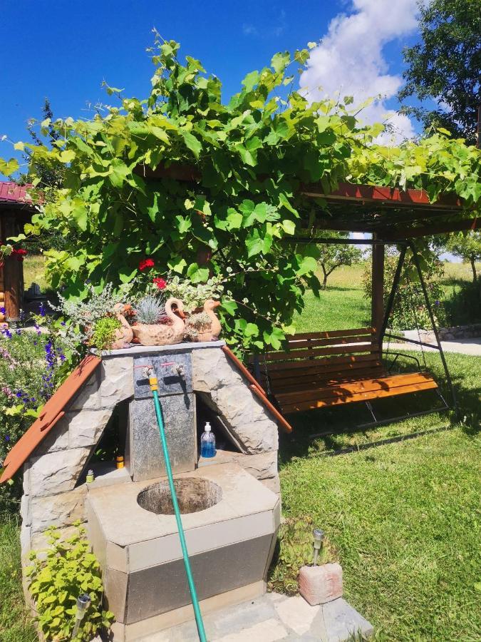 Appartement Brvnare Stojic à Kokin Brod Extérieur photo